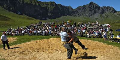 阿爾卑斯山夏日慶典 Alpine Festival